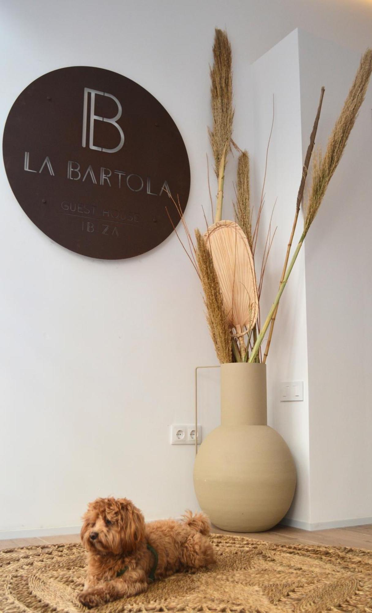 La Bartola Guesthouse Ибиса Екстериор снимка